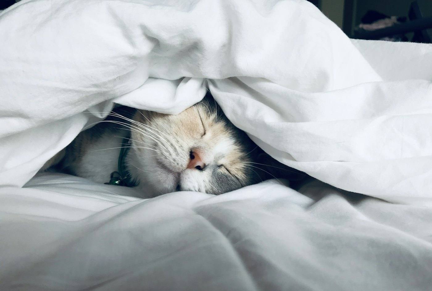 Restful sleep under a white comforter